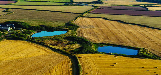 Growers demand water policy overhaul
