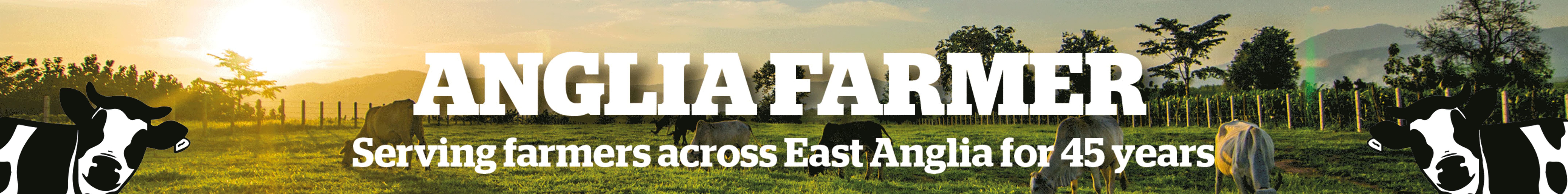 AF Banner
